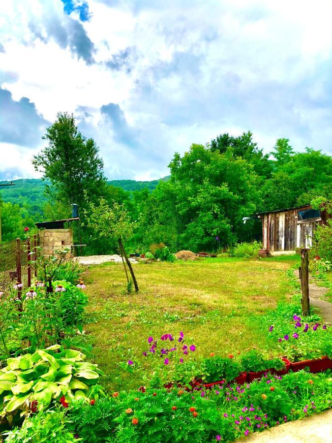 Guesthouse D&D Licko Petrovo Selo المظهر الخارجي الصورة