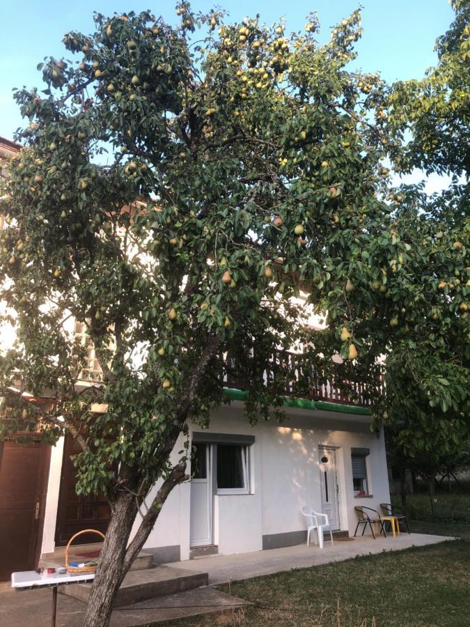 Guesthouse D&D Licko Petrovo Selo المظهر الخارجي الصورة