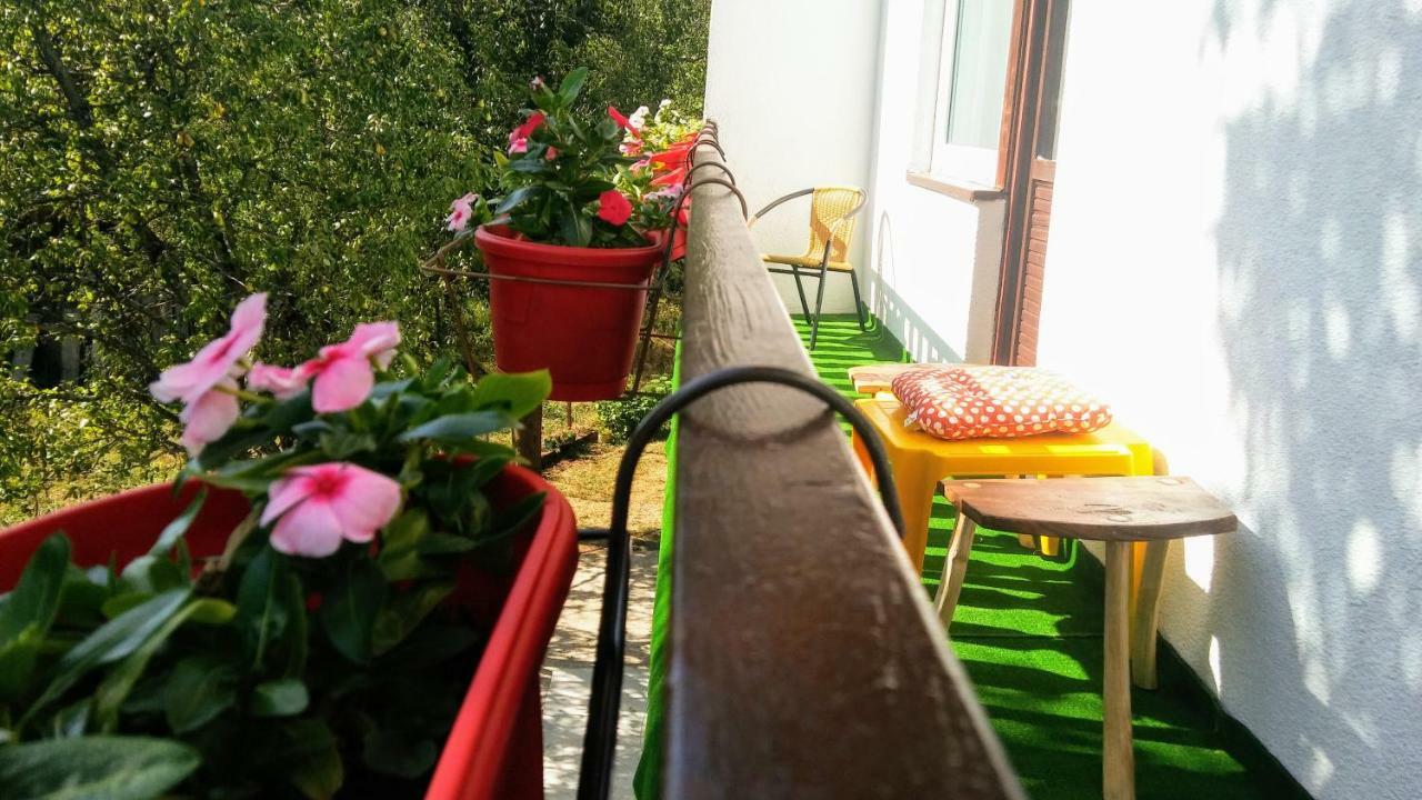 Guesthouse D&D Licko Petrovo Selo المظهر الخارجي الصورة